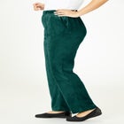 Velour Pant image number null