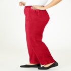 Velour Pant image number null