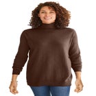 Perfect Long Sleeve Turtleneck Sweater image number 0