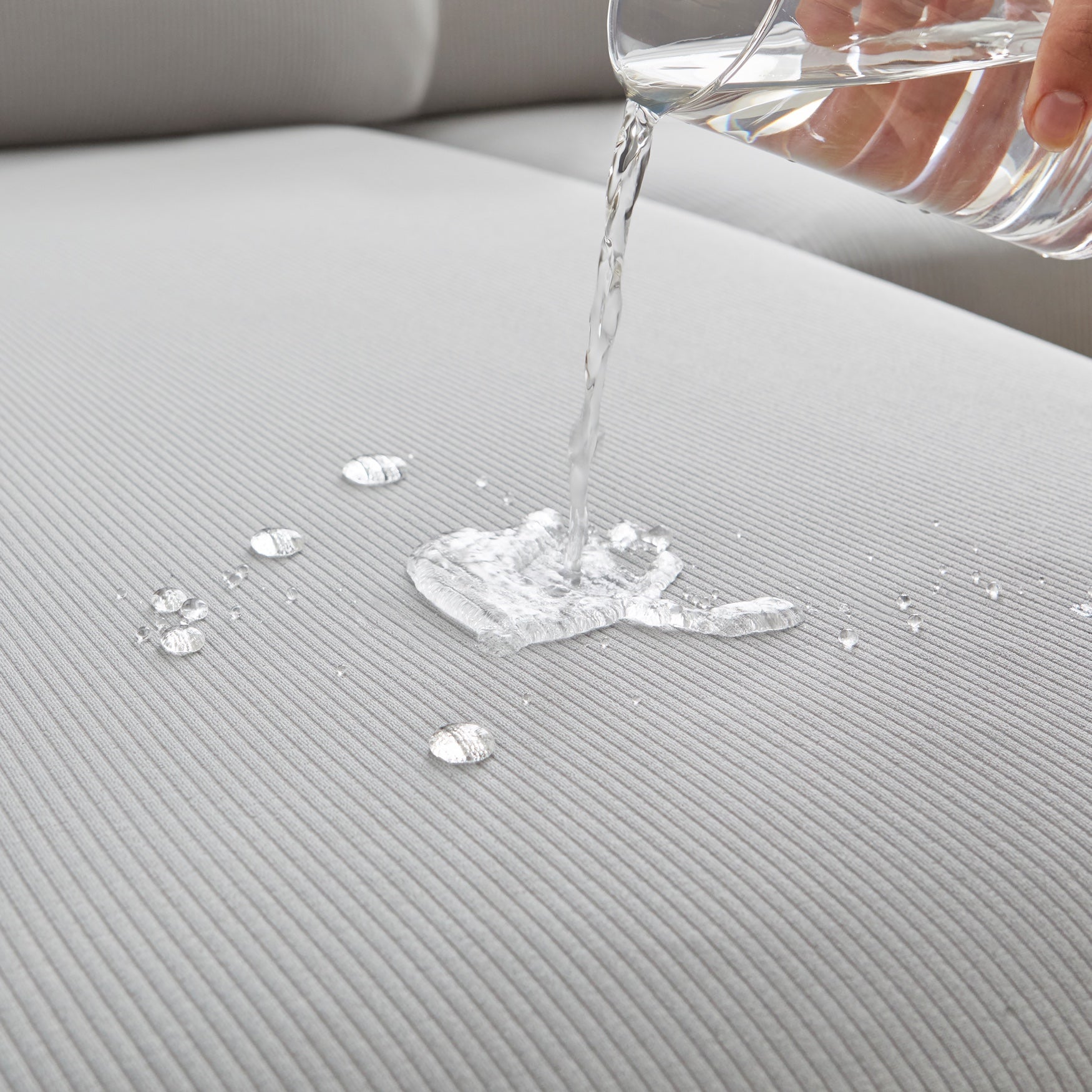 Wonder Back Slipcover image number 2