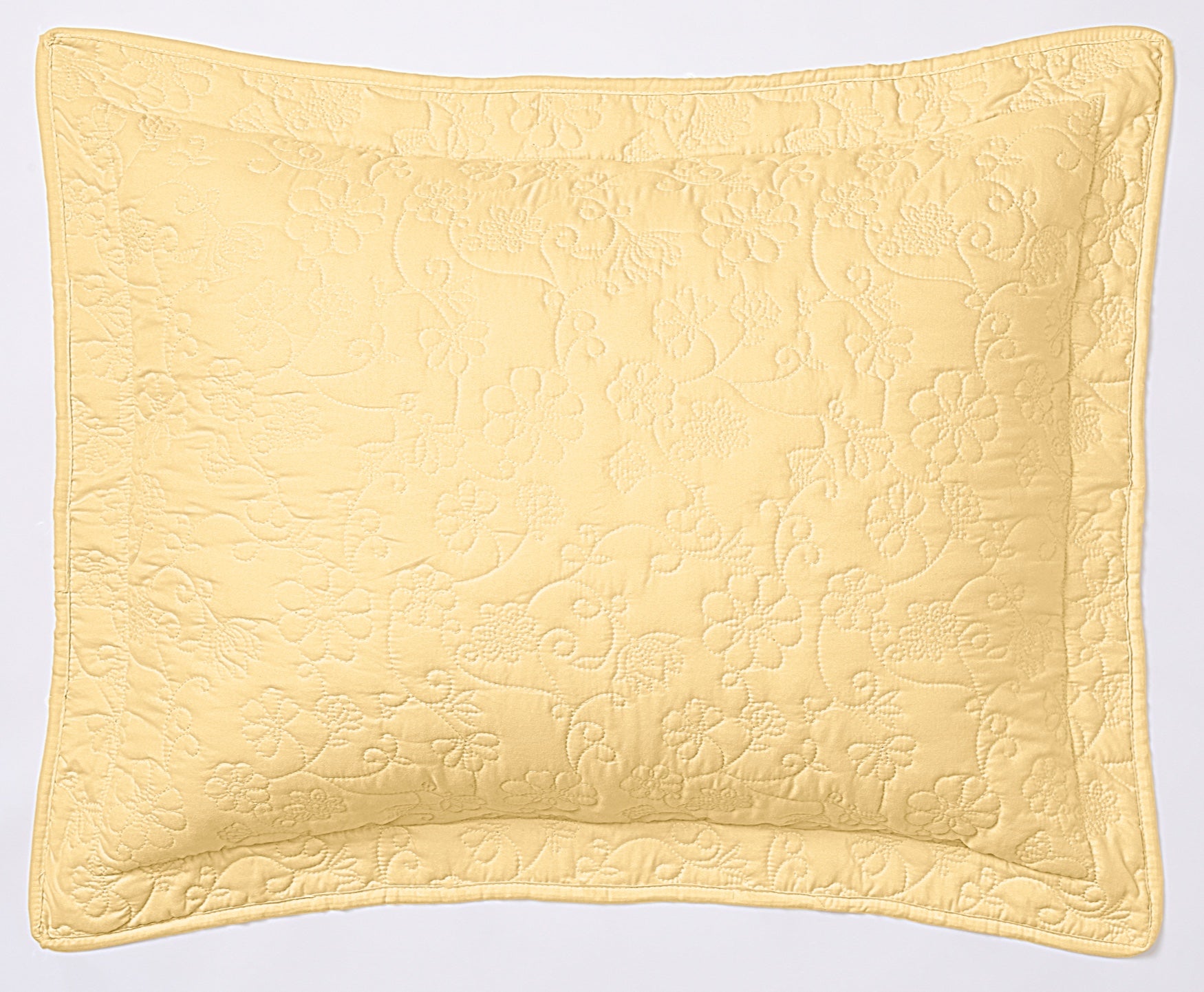  Anna Sham image number 0