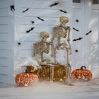 5' Pre-Lit Life-Sized Skeleton image number null