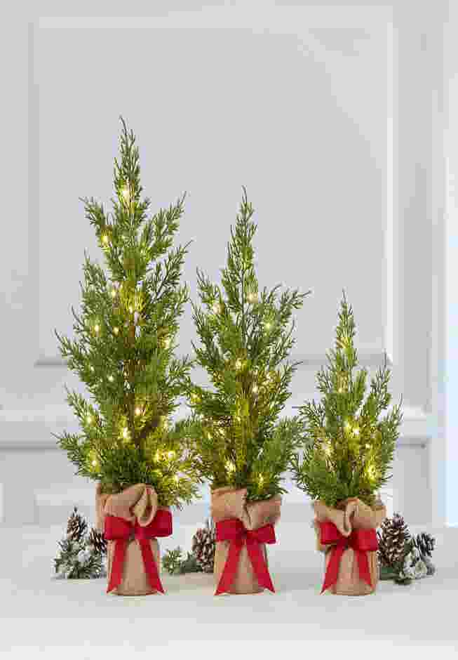 Pre-Lit Tabletop Trees, Set of 3 image number 0