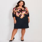 Lily Placement Dress image number 0