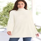 Pullover Shaker Swing image number null