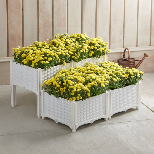 Interchangeable Raised Planters — Set of 4 image number 1
