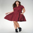 Sandy Shirtwaist Dress image number null