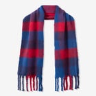 Fringed Plaid Scarf image number null