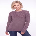 Pointelle Yoke Pullover Sweater image number 0