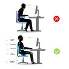 The Core Balance Seat image number 8
