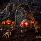 Set of 3 Pre-Lit Skull and Hand Stake image number null