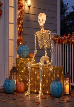 5 Ft. Posable Skeleton